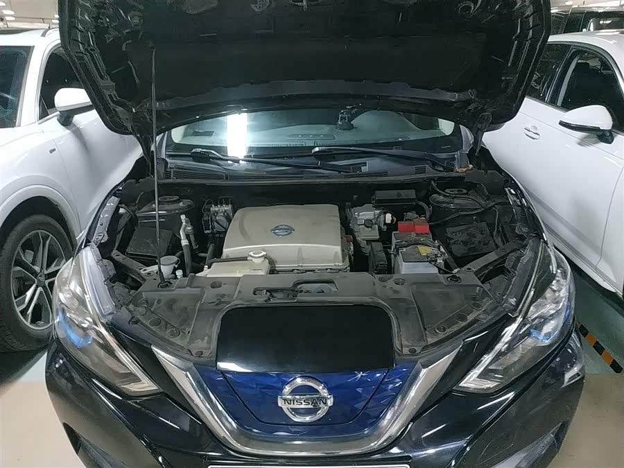 日产 轩逸·纯电 2020 汽车图片 #12