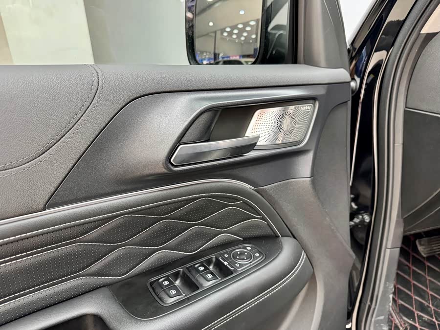 Tank 300 2022 car image #12