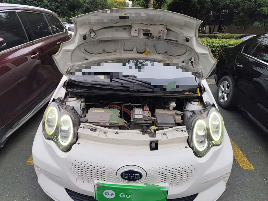 BYD e1 2019 car image #12