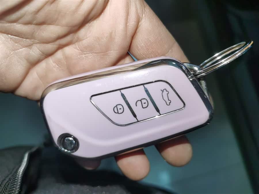 Beijing X3 2022 imagem de carro #12