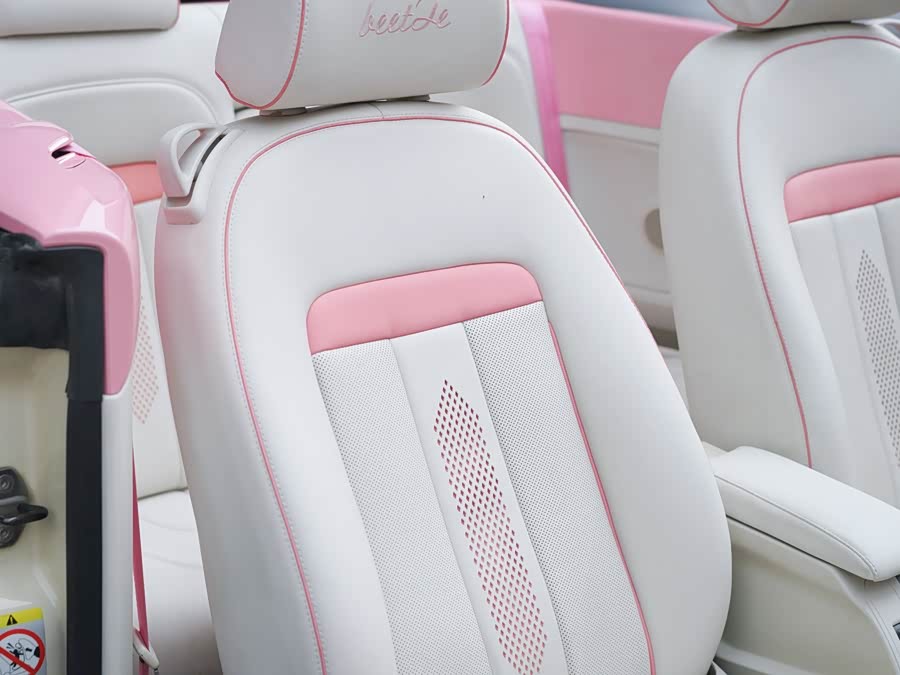 大众 甲壳虫 2010 汽车图片 #12