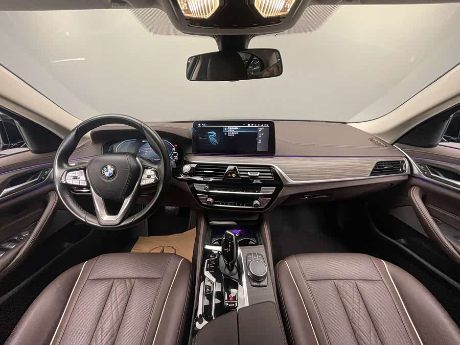 BMW 5 Series New Energy 2021 car image #12