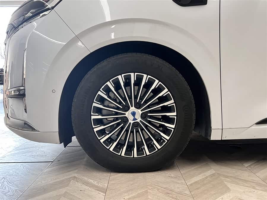 Denza D9 2025 car image #12