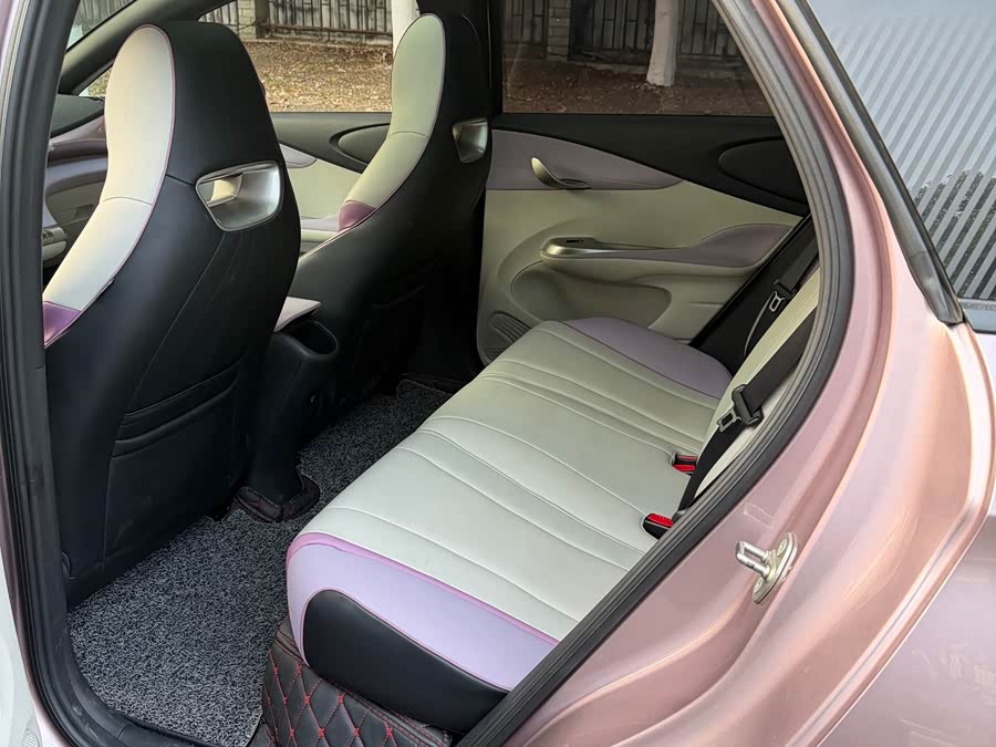 BYD Dolphin 2022 car image #12