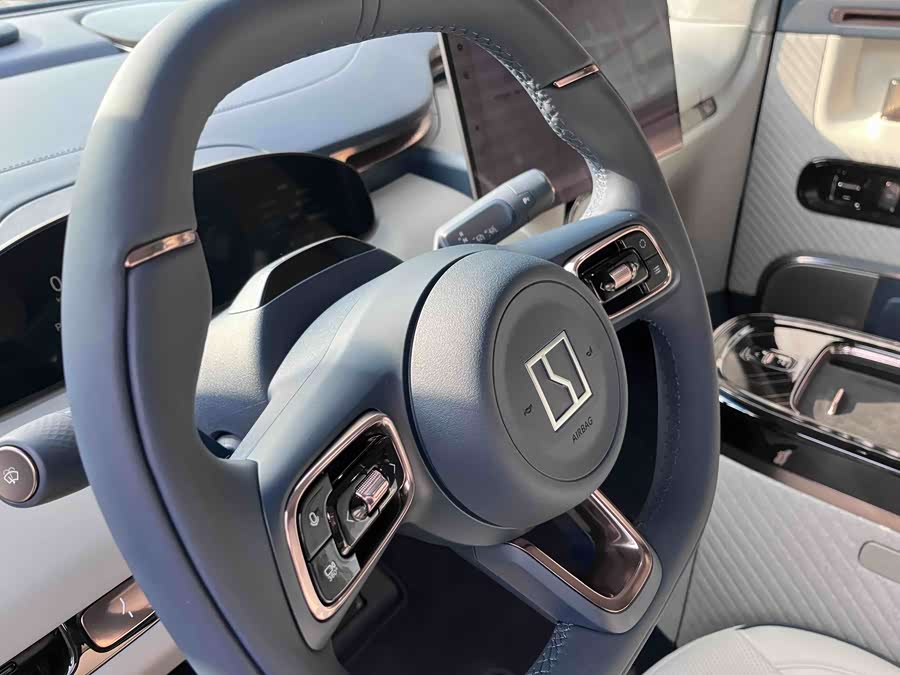 极氪 极氪MIX 2024 汽车图片 #12