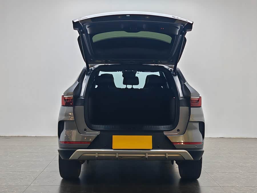 BYD Song Plus 2021 immagine di auto #12