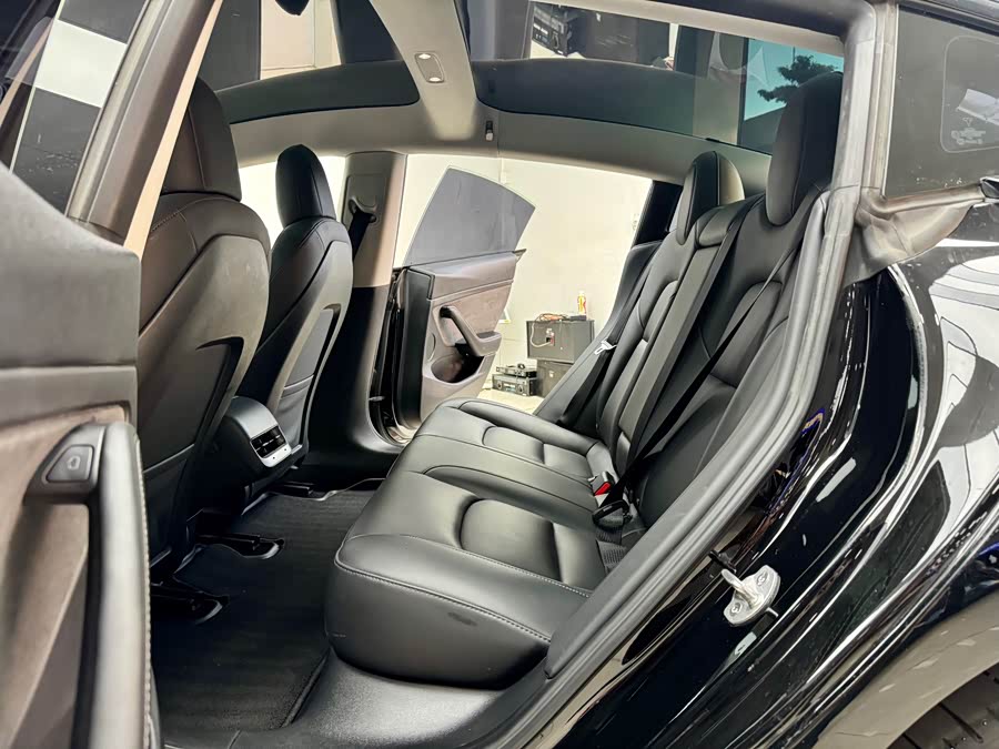Tesla Model 3 2021 car image #12