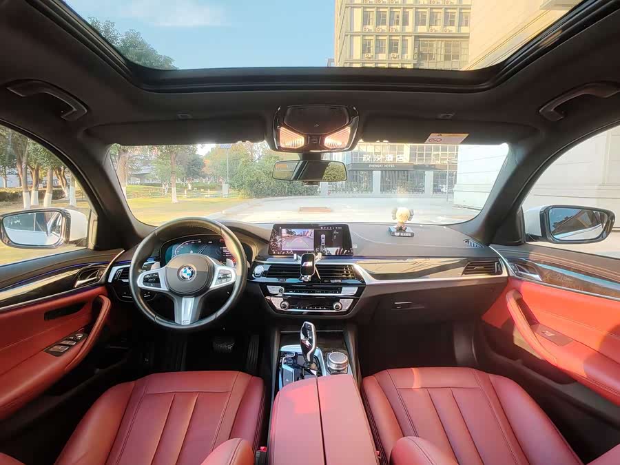 BMW 5 Series 2020 car image #12