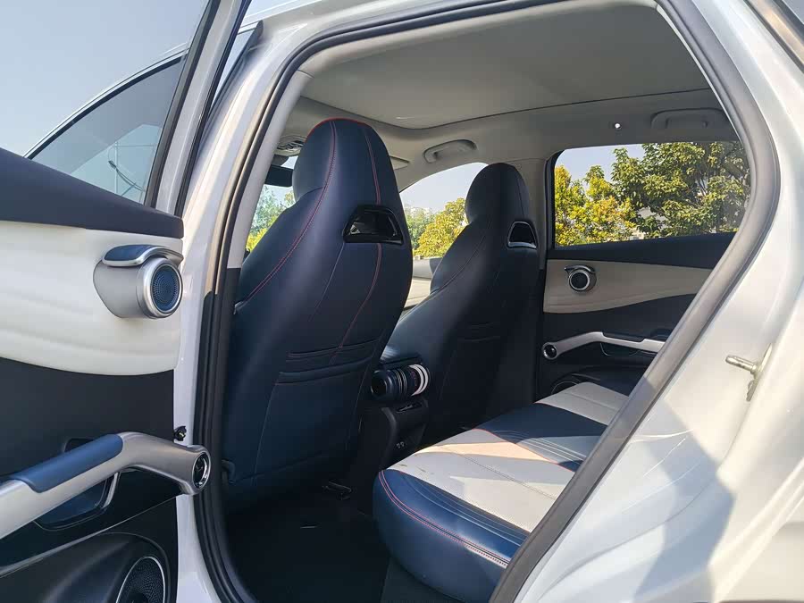 BYD Yuan Plus 2022 car image #12