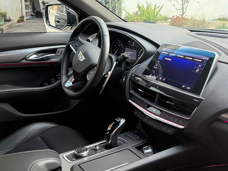 2020 #12 2020 car image #12