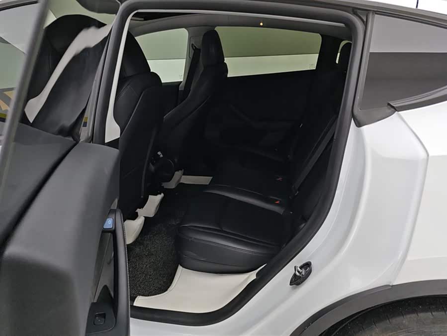 Tesla Model Y 2024 car image #12
