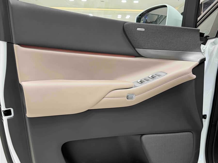 Xpeng X9 2025 immagine di auto #12