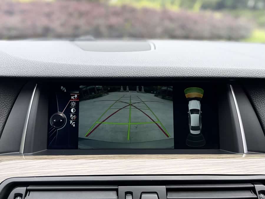 BMW 5 Series 2014 car image #12