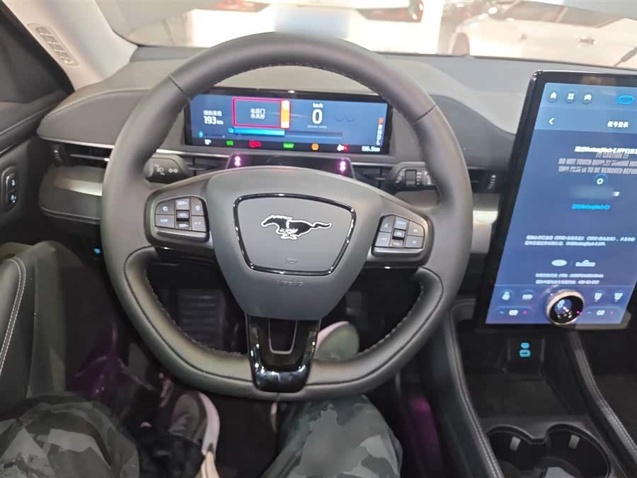 Ford Mustang Mach-E 2023 #12 Ford Mustang Mach-E 2023 car image #12