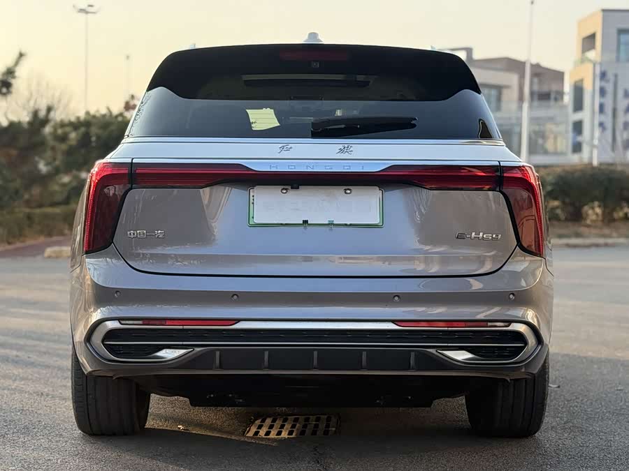 HongQi E-HS9 2020 image de voiture #12