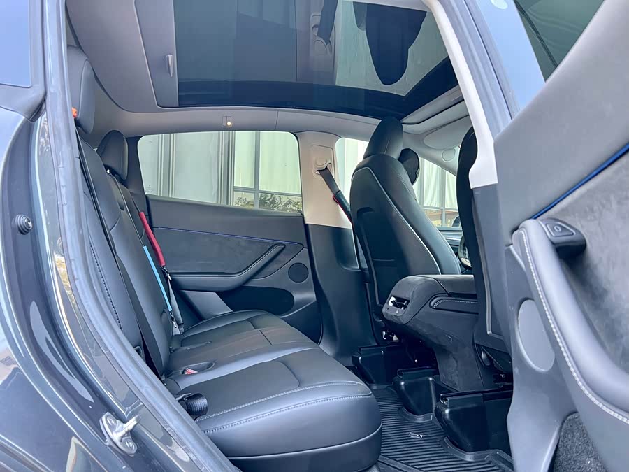 Tesla Model Y 2022 car image #12