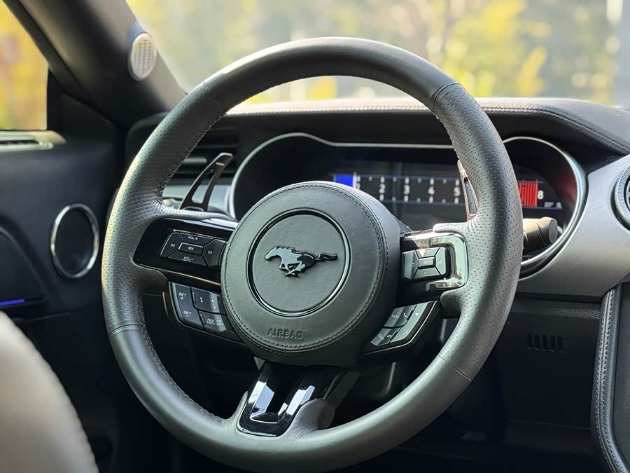 Ford Mustang 2020 immagine di auto #12