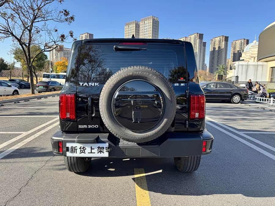 Tank 300 2022 car image #12