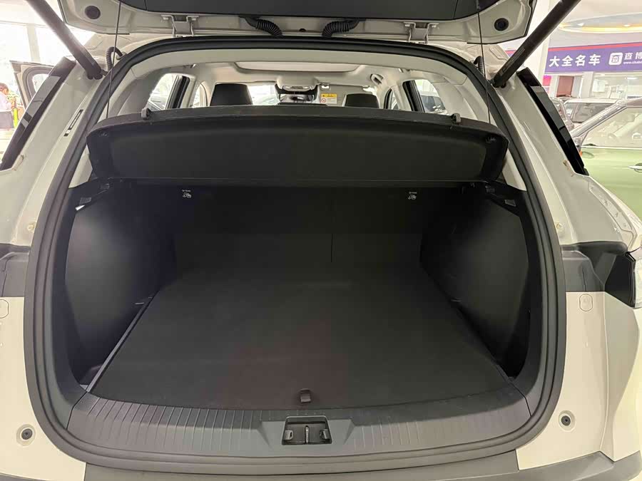 BYD Sea Lion 05 DM-i 2025 car image #12