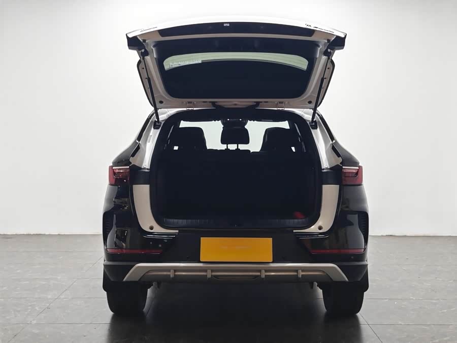 BYD Song Plus 2020 #12 BYD Song Plus 2020 car image #12