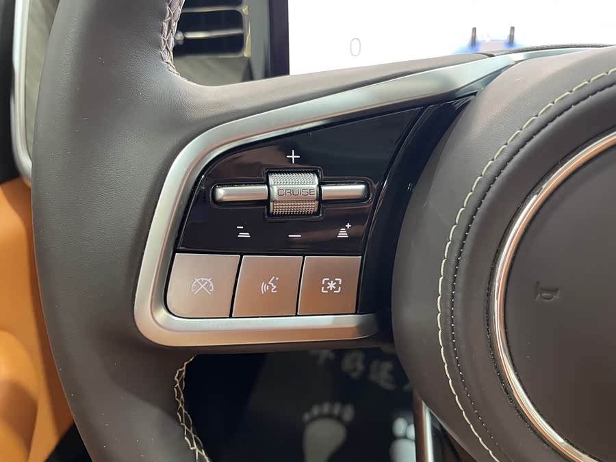 Tank 500 New Energy 2024 car image #12