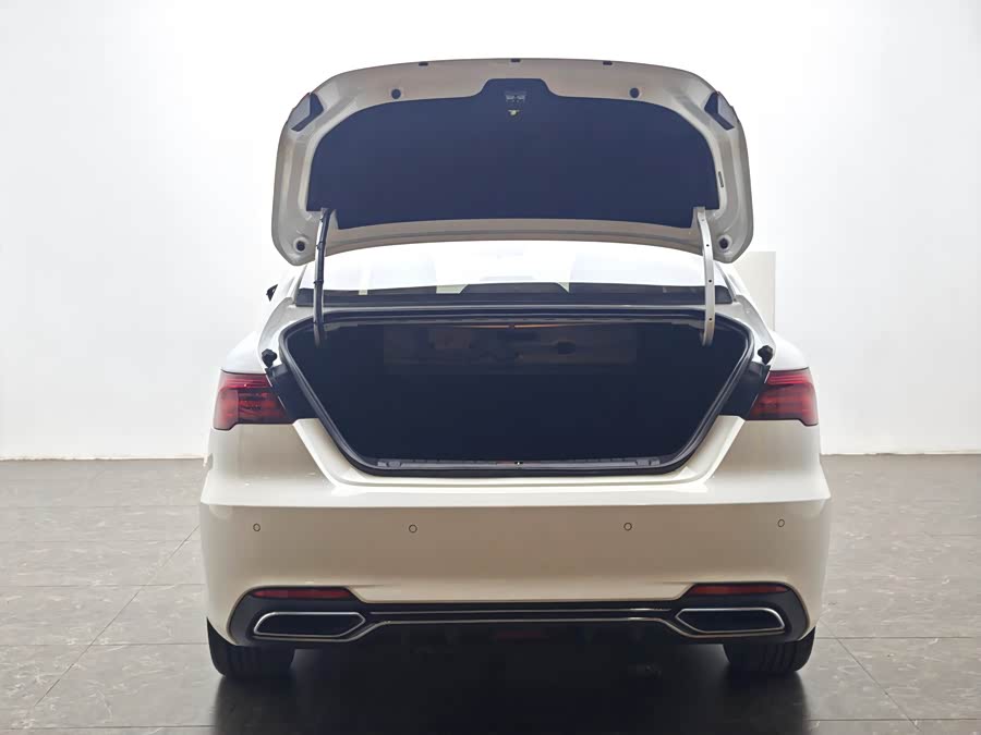 GEELY Binray 2020 #12 GEELY Binray 2020 car image #12