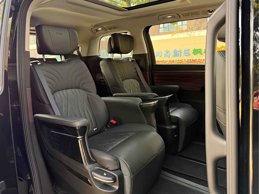 GAC Trumpchi M8 2024 car image #12