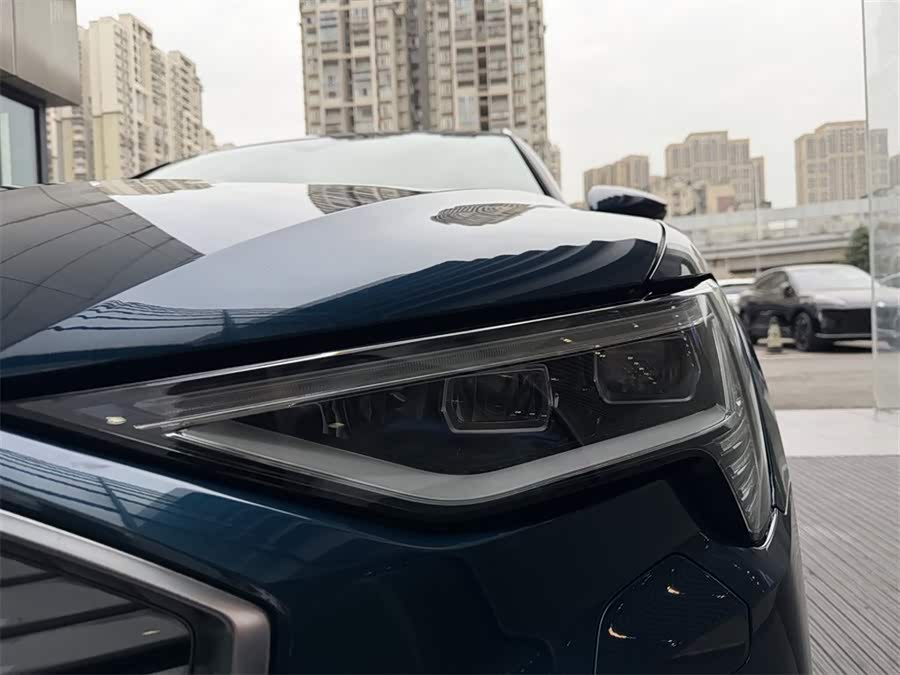 奥迪 奥迪e-tron(进口) 2021 汽车图片 #12