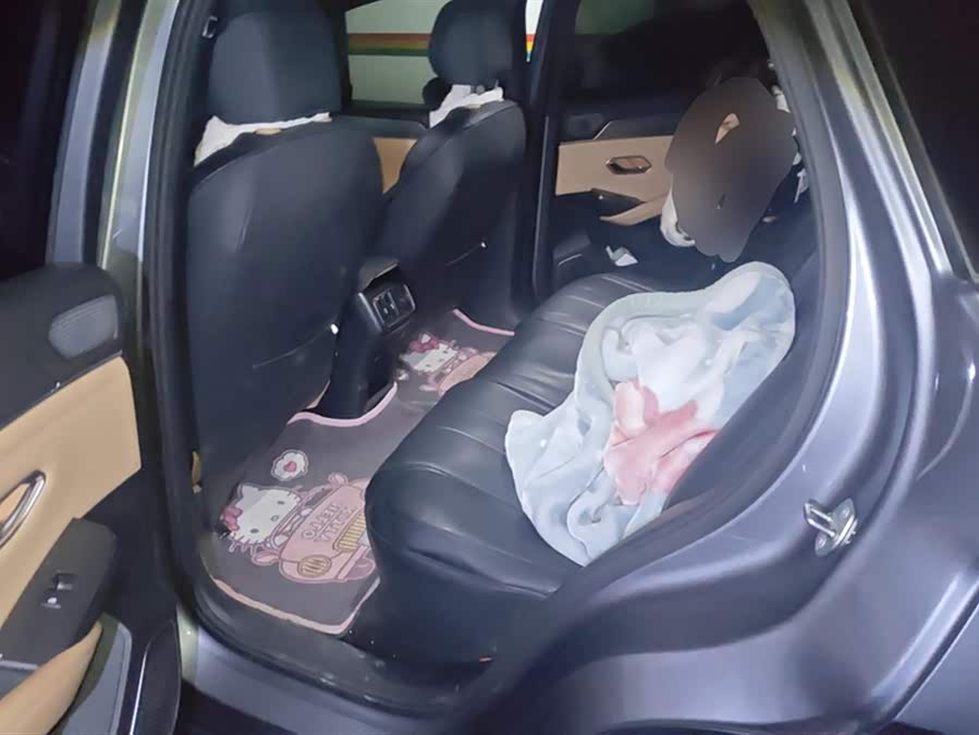 BYD SongL DM-i 2024 car image #12