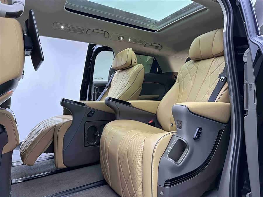 Denza D9 2023 immagine di auto #12