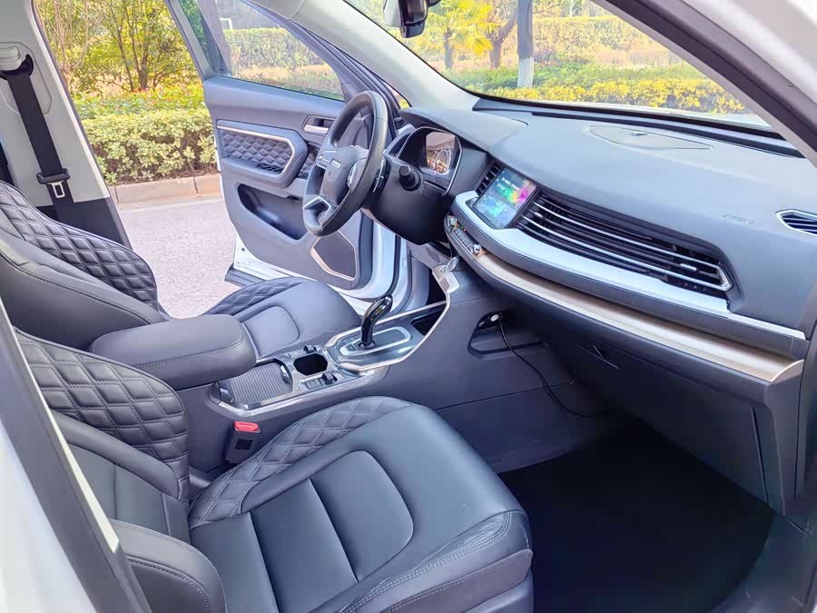 Haval H6 2020 car image #12