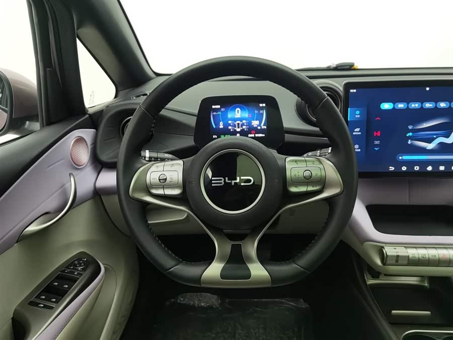 BYD Dolphin 2024 immagine di auto #12