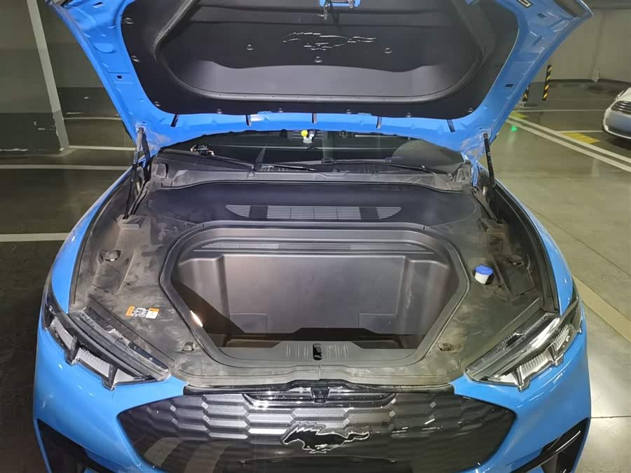 Ford Mustang Mach-E 2022 #12 Ford Mustang Mach-E 2022 car image #12