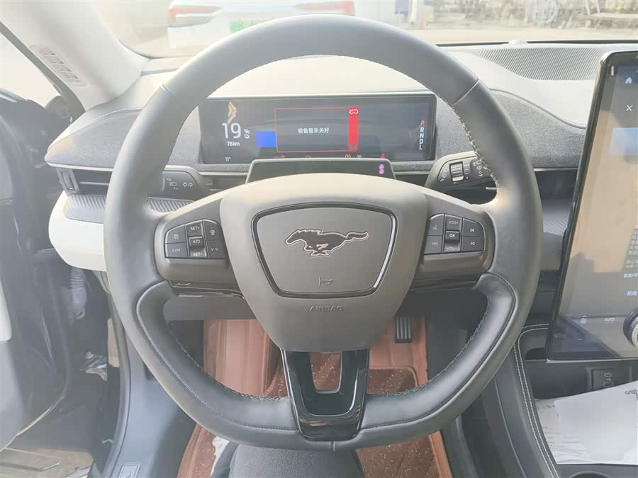 Ford Mustang Mach-E 2022 car image #12