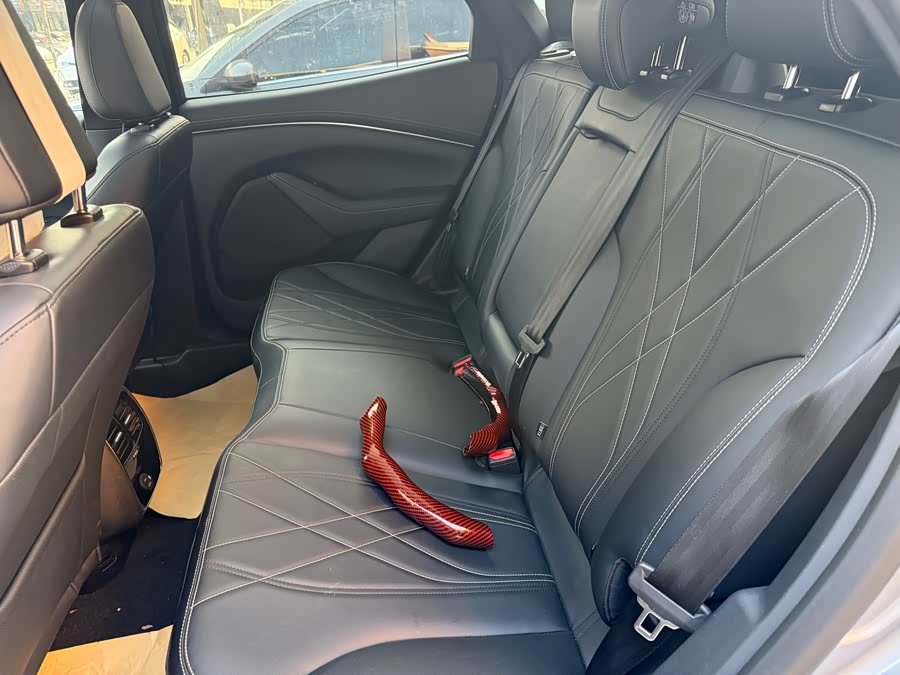 Ford Mustang Mach-E 2022 #12 Ford Mustang Mach-E 2022 car image #12