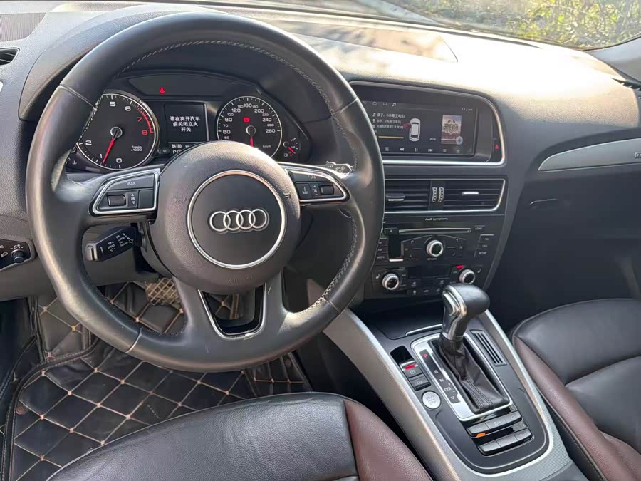 Audi Q5 2017 car image #12