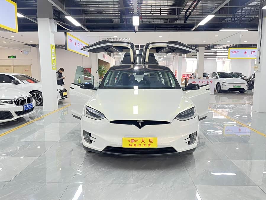 Tesla Model X 2018 car image #12