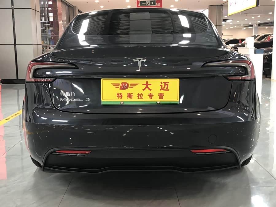 Tesla Model 3 2025 car image #12
