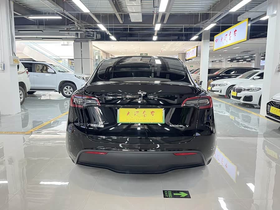 Tesla Model Y 2023 car image #12