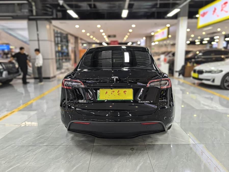 Tesla Model Y 2023 car image #12