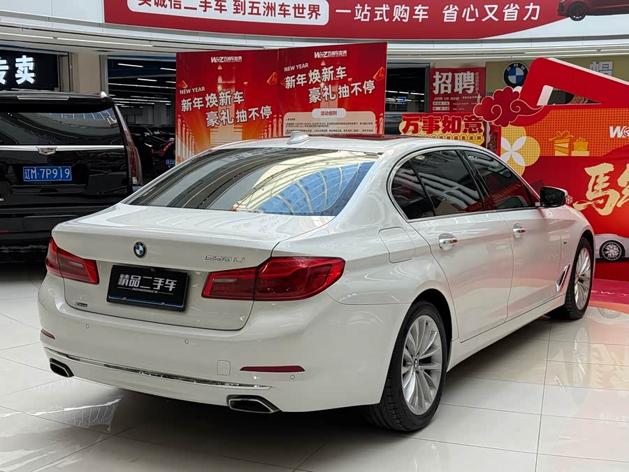 BMW 5 Series 2018 car image #12