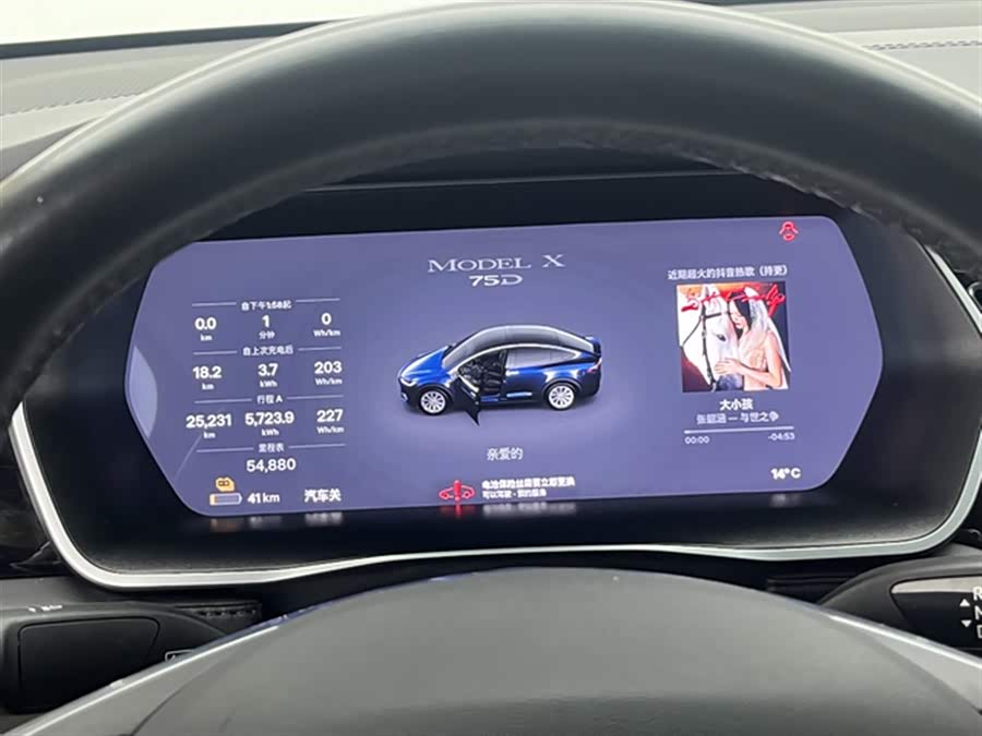 Tesla Model X 2018 car image #12