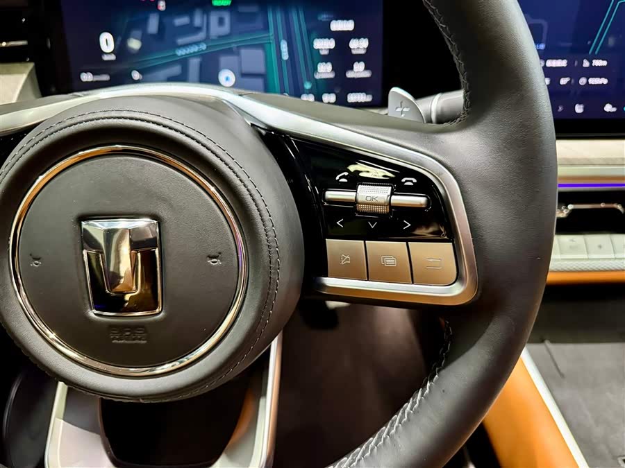 Tank 500 New Energy 2025 car image #12