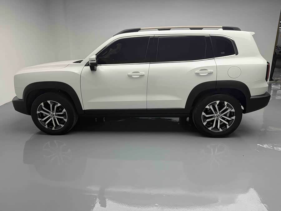 Haval X Dog / Dargo 2021 #12 Haval X Dog / Dargo 2021 car image #12