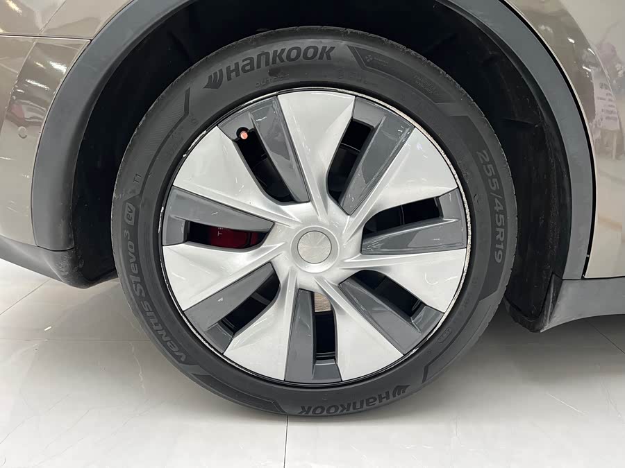 Tesla Model Y 2022 car image #12