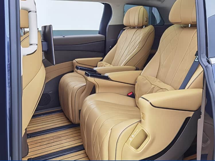 Denza D9 2023 car image #12