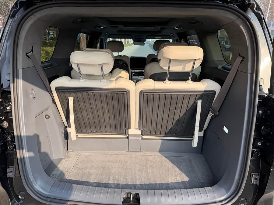 Zeekr 009 2023 car image #12