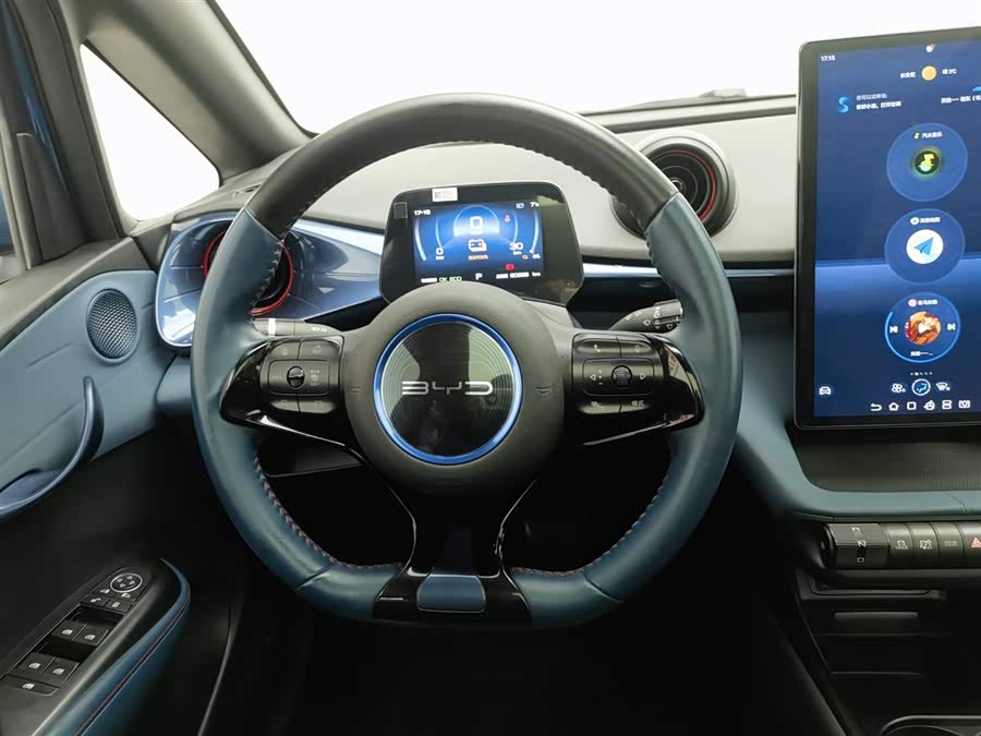 BYD Dolphin 2023 car image #12