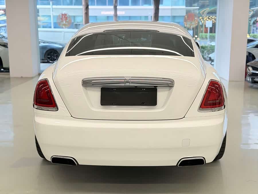 Denza Wraith 2014 car image #12