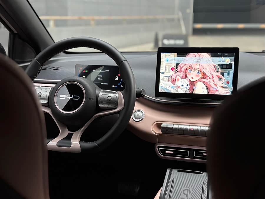 BYD Seagull 2024 #12 BYD Seagull 2024 صورة سيارة #12